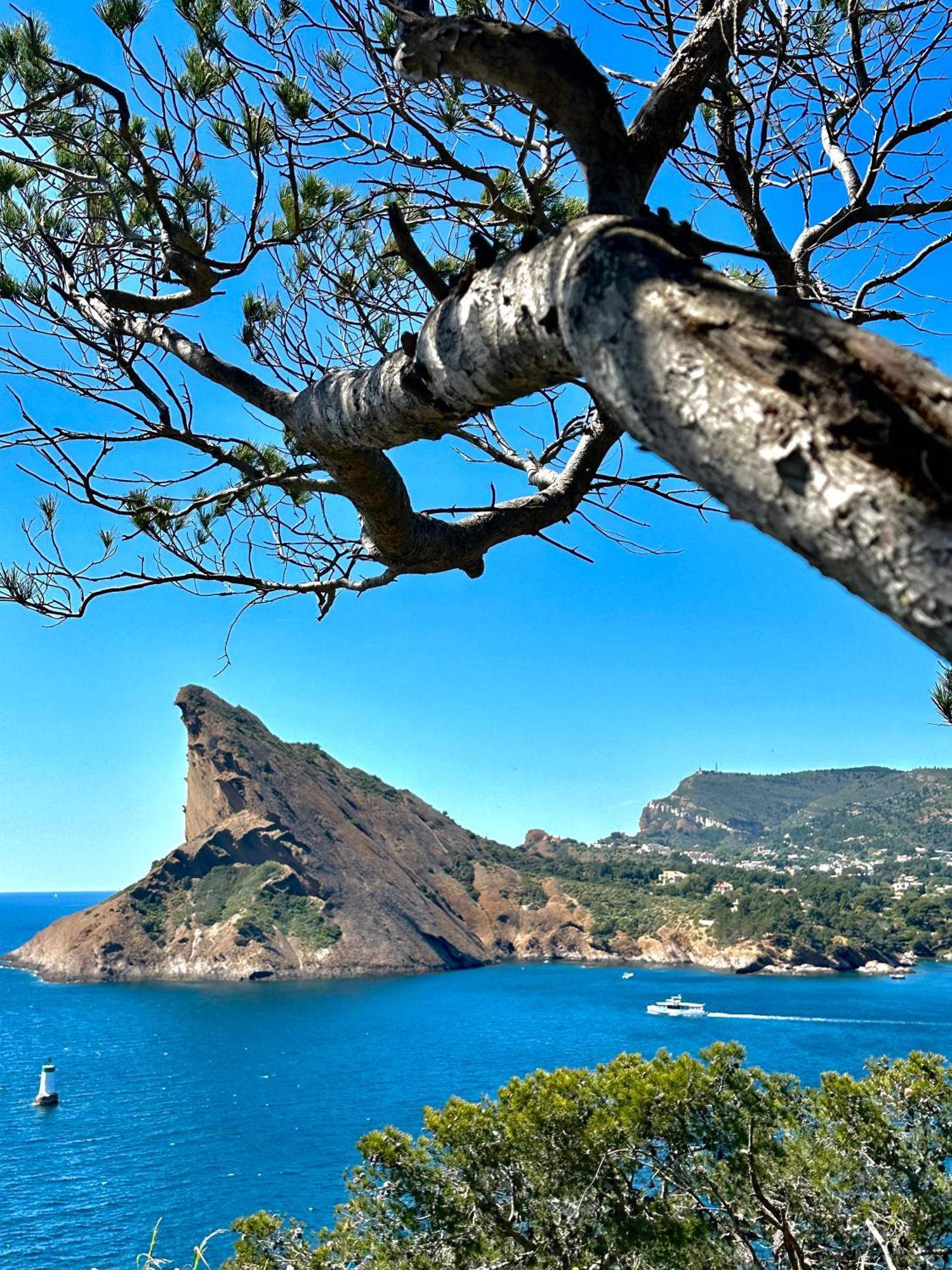 L'Alceste La Ciotat Exteriér fotografie